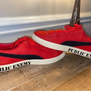 Custom “Fear of a Black Planet” Pumas